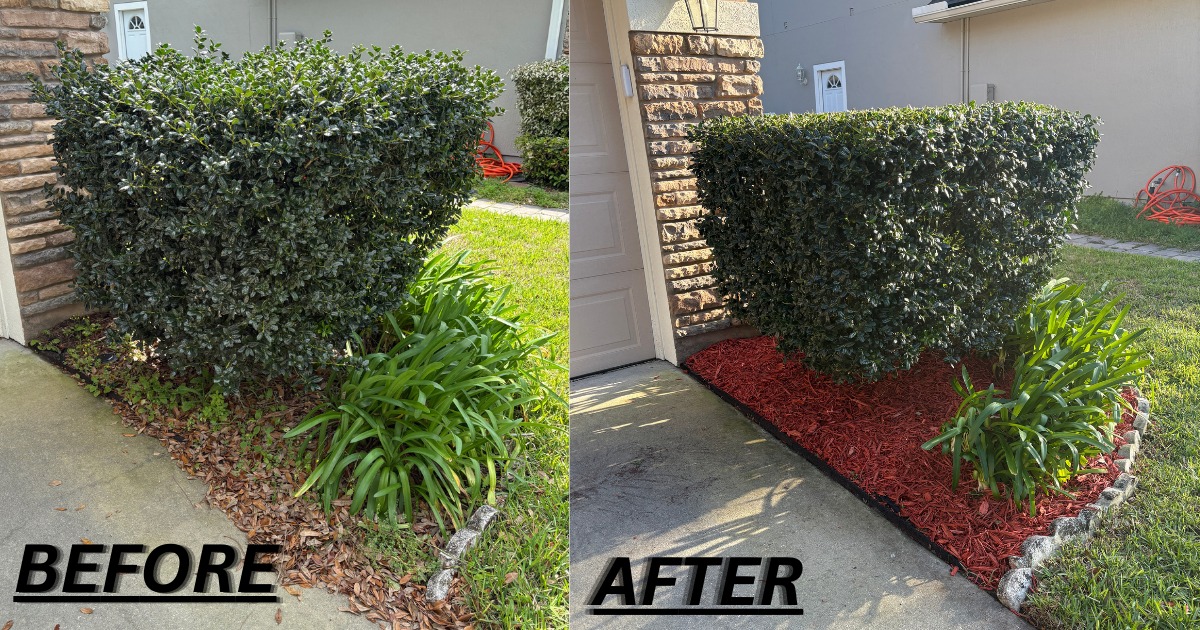 Bush & Hedge Trimming