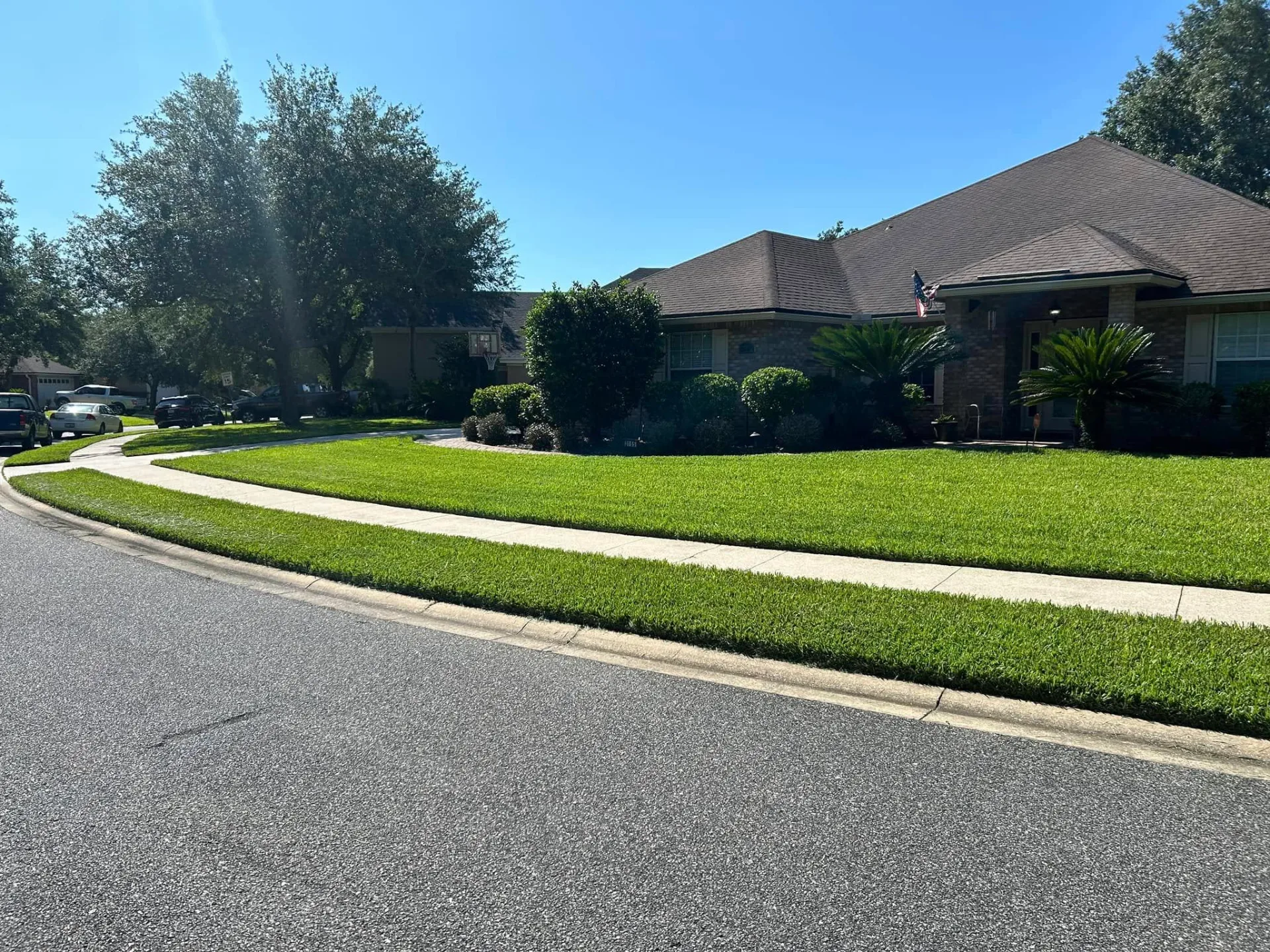 5 Spring Lawn Care Tips for a Lush Green Yard