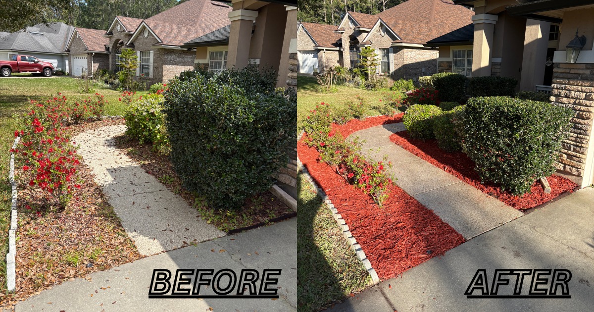 Landscape Renovation