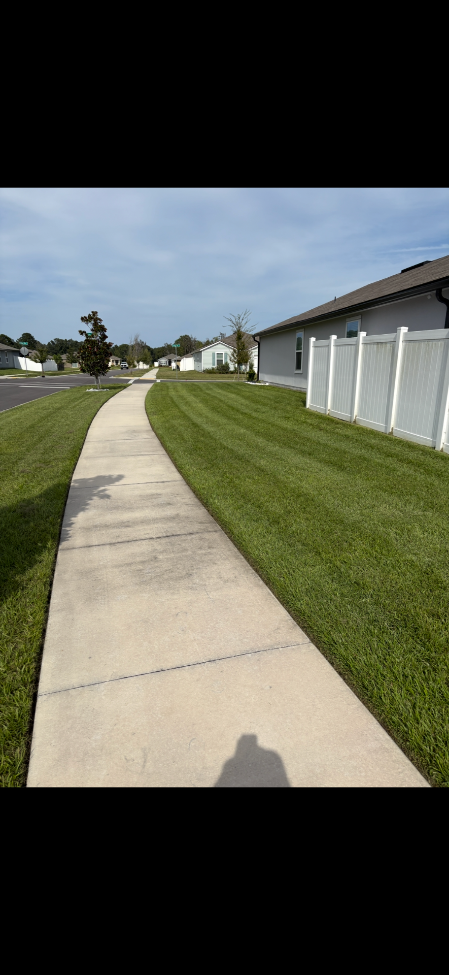 Crisp mowing stripes along a curved sidewalk with white privacy fence